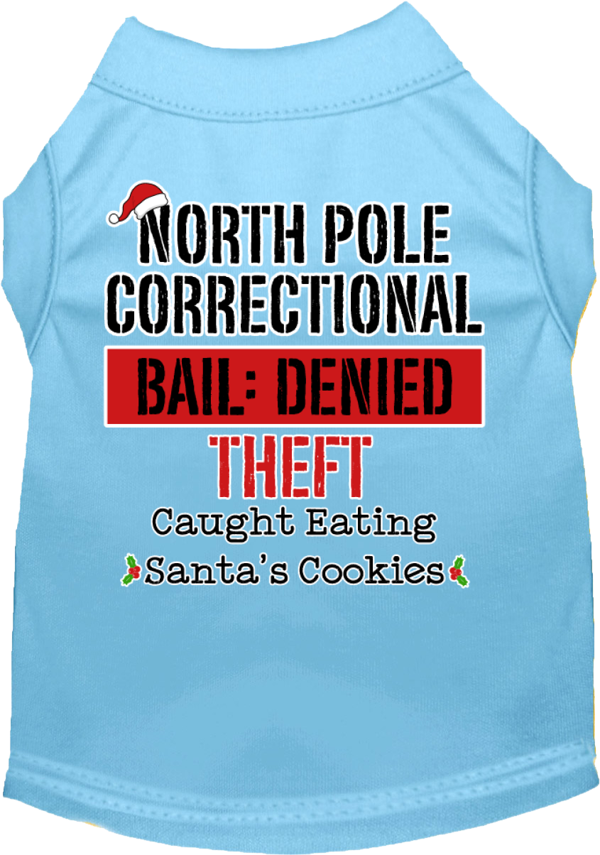 North Pole Correctional Screen Print Dog Shirt Baby Blue Size XS